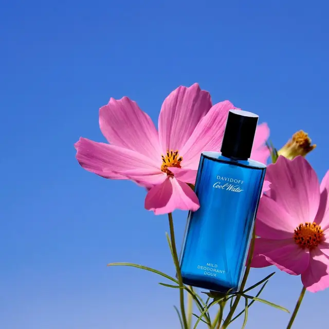 Perfume bottle placed among pink cosmos under a blue sky
